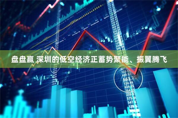 盘盘赢 深圳的低空经济正蓄势聚能、振翼腾飞
