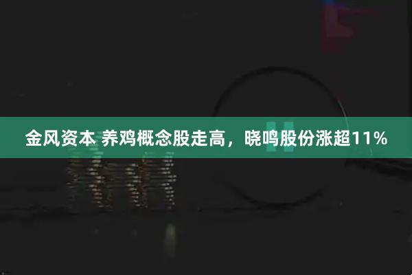 金风资本 养鸡概念股走高，晓鸣股份涨超11%