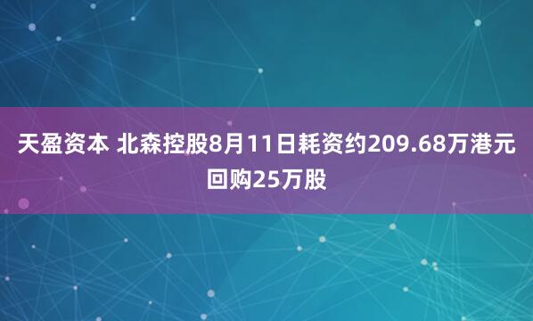 天盈资本 北森控股8月11日耗资约209.68万港元回购25万股
