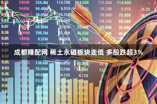 成都赚配网 稀土永磁板块走低 多股跌超3%