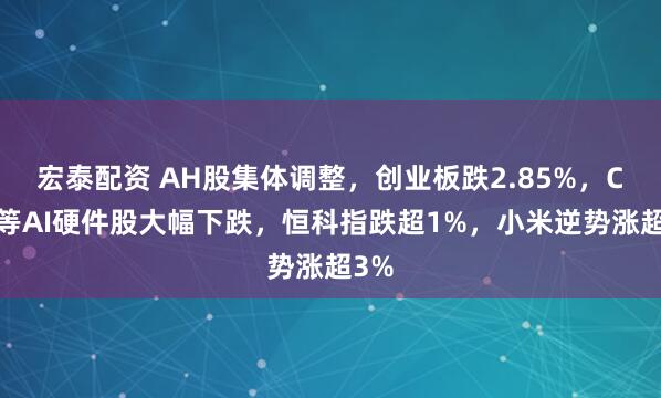 宏泰配资 AH股集体调整，创业板跌2.85%，CPO等AI硬件股大幅下跌，恒科指跌超1%，小米逆势涨超3%