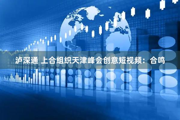 泸深通 上合组织天津峰会创意短视频：合鸣
