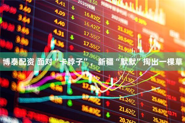 博泰配资 面对“卡脖子”，新疆“默默”掏出一棵草